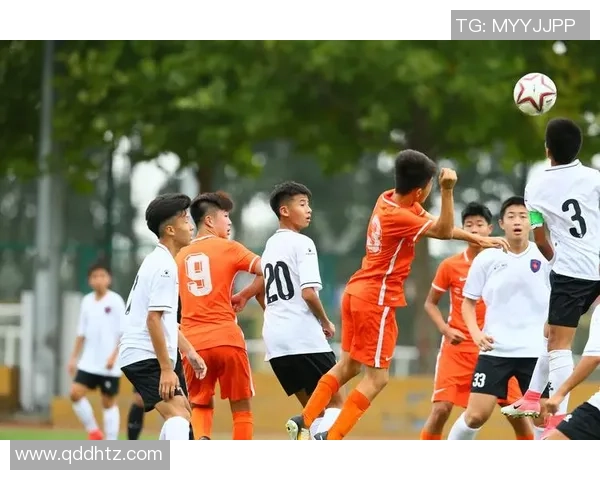 足球清囗：探索足球世界的纯粹与激情，感受赛场上的真实与梦想